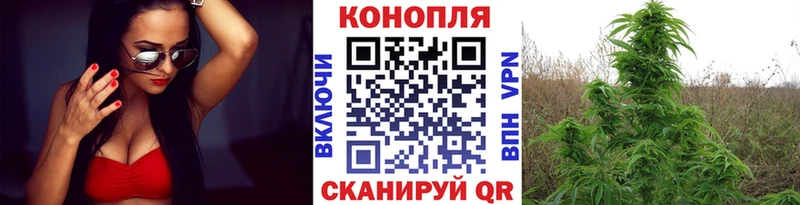 МАРИХУАНА планчик  дарнет шоп  Бородино 